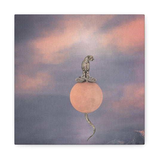 Dusk Period